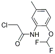 2-CHLORO-N-(2-DIFLUOROMETHOXY-5-METHYL-PHENYL)-ACETAMIDE Struktur