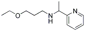 (3-ETHOXY-PROPYL)-(1-PYRIDIN-2-YL-ETHYL)-AMINE Struktur