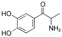 2-AMINO-3',4'-DIHYDROXYPROPIOPHENONE Struktur