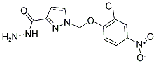 1-(2-CHLORO-4-NITRO-PHENOXYMETHYL)-1 H-PYRAZOLE-3-CARBOXYLIC ACID HYDRAZIDE Struktur