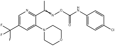 4-[2-(([(4-CHLOROANILINO)CARBONYL]OXY)ETHANIMIDOYL)-5-(TRIFLUOROMETHYL)-3-PYRIDINYL]MORPHOLINE Struktur