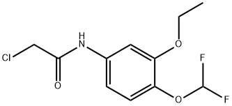 2-CHLORO-N-(4-DIFLUOROMETHOXY-3-ETHOXY-PHENYL)-ACETAMIDE Struktur