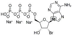 2'-BROMO-ADENOSINE-5'-TRIPHOSPHATE, SODIUM SALT Struktur