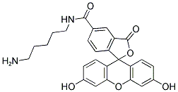 5-FAM CADAVERINE Struktur