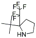 2-TERT-BUTYL-2-(1,1,2,2,2-PENTAFLUOROETHYL)PYRROLIDINE Struktur