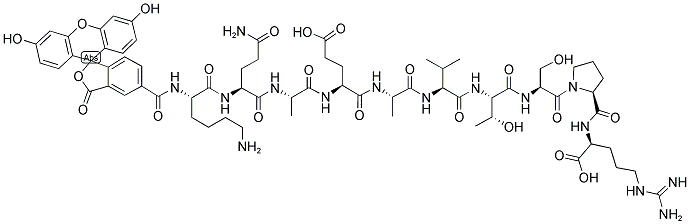 5-FAM-KQAEAVTSPR Struktur