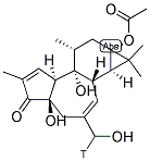 12-DEOXYPHORBOL 13-ACETATE [20-3H] Struktur