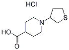 1-(TETRAHYDRO-3-THIENYL)PIPERIDINE-4-CARBOXYLIC ACID HYDROCHLORIDE Struktur