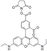 5(6)-CARBOXY-X-RHODAMINE-NHS Struktur