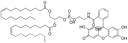 1,2-DIOLEOYL-SN-GLYCERO-3-PHOSPHOETHANOLAMINE, FLUORESCEIN-LABELED Structure