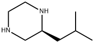 (S)-2-ISOBUTYL-PIPERAZINE Struktur