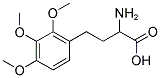 2-AMINO-4-(2,3,4-TRIMETHOXY-PHENYL)-BUTYRIC ACID Struktur