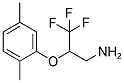 2-(2,5-DIMETHYL-PHENOXY)-3,3,3-TRIFLUORO-PROPYLAMINE Struktur