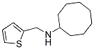 N-(THIEN-2-YLMETHYL)CYCLOOCTANAMINE Struktur