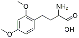 2-AMINO-4-(2,4-DIMETHOXY-PHENYL)-BUTYRIC ACID Struktur