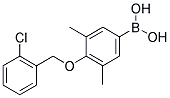 4-(2'-CHLOROBENZYLOXY)-3,5-DIMETHYLPHENYLBORONIC ACID Struktur