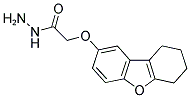 2-(6,7,8,9-TETRAHYDRODIBENZO[B,D]FURAN-2-YLOXY)ACETOHYDRAZIDE Struktur