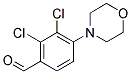 2,3-DICHLORO-4-MORPHOLIN-4-YL-BENZALDEHYDE Struktur