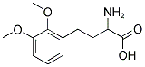 2-AMINO-4-(2,3-DIMETHOXY-PHENYL)-BUTYRIC ACID Struktur