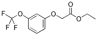 (3-TRIFLUOROMETHOXYPHENOXY) ACETIC ACID ETHYL ESTER Struktur