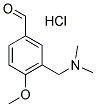 3-[(DIMETHYLAMINO)METHYL]-4-METHOXYBENZALDEHYDE HYDROCHLORIDE Struktur