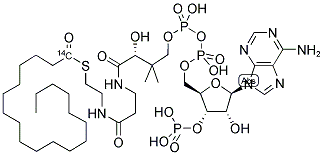 NONADECANOYL COENZYME A [NONADECANOYL 1-14C] Struktur