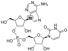 ADENYLYL-(3'->5')-URIDINE Struktur