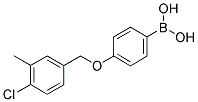 4-((4'-CHLORO-3'-METHYLPHENOXY)METHYL)PHENYLBORONIC ACID Struktur