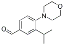 3-ISOPROPYL-4-MORPHOLIN-4-YL-BENZALDEHYDE Struktur