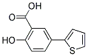 2-HYDROXY-5-(2-THIENYL)BENZOIC ACID Struktur