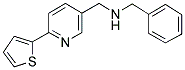 1-PHENYL-N-([6-(2-THIENYL)PYRIDIN-3-YL]METHYL)METHANAMINE Struktur