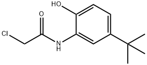 N-(5-TERT-BUTYL-2-HYDROXY-PHENYL)-2-CHLORO-ACETAMIDE Struktur