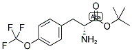 (R)-4-(TRIFLUOROMETHOXYL)PHENYLALANINE T-BUTYL ESTER Struktur