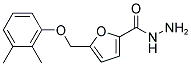 5-(2,3-DIMETHYL-PHENOXYMETHYL)-FURAN-2-CARBOXYLIC ACID HYDRAZIDE Struktur