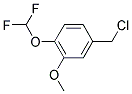 4-(CHLOROMETHYL)-1-(DIFLUOROMETHOXY)-2-METHOXYBENZENE Struktur