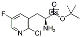 (S)-3-(2'-CHLORO-5'-FLUOROPYRIDYL-3')ALANINE T-BUTYL ESTER Struktur