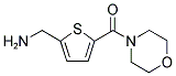 [5-(4-MORPHOLINYLCARBONYL)-2-THIENYL]METHANAMINE Struktur