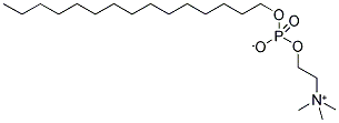 PENTADECYL PHOSPHOCHOLINE Struktur