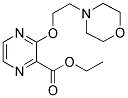 3-(2-MORPHOLIN-4-YL-ETHOXY)-PYRAZINE-2-CARBOXYLIC ACID ETHYL ESTER Struktur