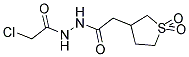 2-CHLORO-N'-[(1,1-DIOXIDOTETRAHYDROTHIEN-3-YL)ACETYL]ACETOHYDRAZIDE Struktur