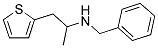 N-BENZYL-N-(1-METHYL-2-THIEN-2-YLETHYL)AMINE Struktur