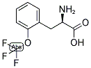(R)-2-AMINO-3-(2-TRIFLUOROMETHOXY-PHENYL)-PROPIONIC ACID Struktur