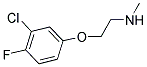 N-[2-(3-CHLORO-4-FLUOROPHENOXY)ETHYL]-N-METHYLAMINE Struktur