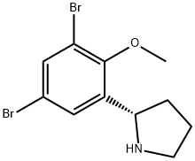 (S)-2-(3,5-DIBROMO-2-METHOXYPHENYL)PYRROLIDINE Struktur