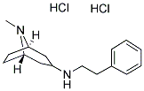 (8-METHYL-8-AZA-BICYCLO[3.2.1]OCT-3-YL)-PHENETHYL-AMINE DIHYDROCHLORIDE Struktur