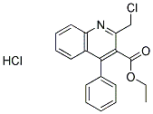 1009306-55-1