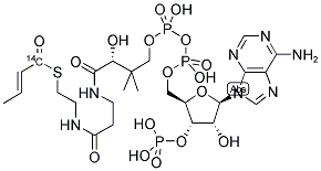 CROTONYL COENZYME A [CROTONYL 1-14C] Struktur