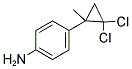 4-(2,2-DICHLORO-1-METHYL-CYCLOPROPYL)-PHENYLAMINE Struktur