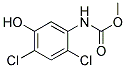 (2,4-DICHLORO-5-HYDROXY-PHENYL)-CARBAMIC ACID METHYL ESTER Struktur