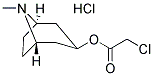 CHLORO-ACETIC ACID 8-METHYL-8-AZA-BICYCLO[3.2.1]OCT-3-YL ESTER HYDROCHLORIDE Struktur